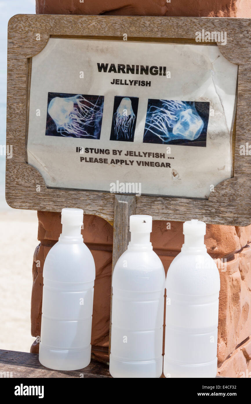 Bottles of vinegar on a beach in Malaysia, vinegar is used to treat jellyfish stings. Stock Photo