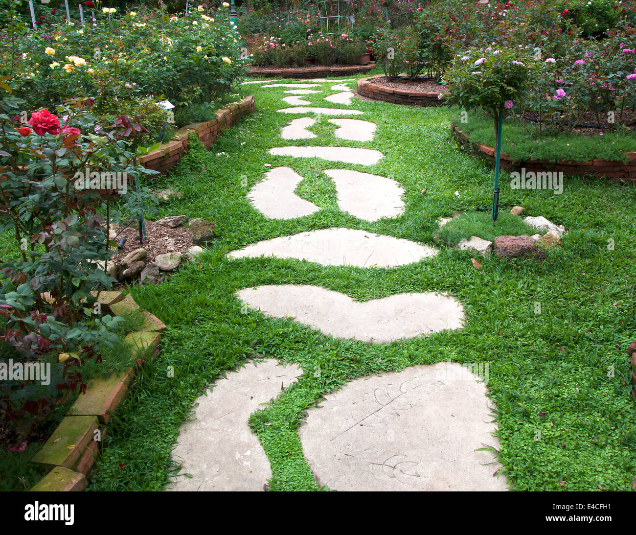 Landscaping in the garden. The path in the garden. Stock Photo