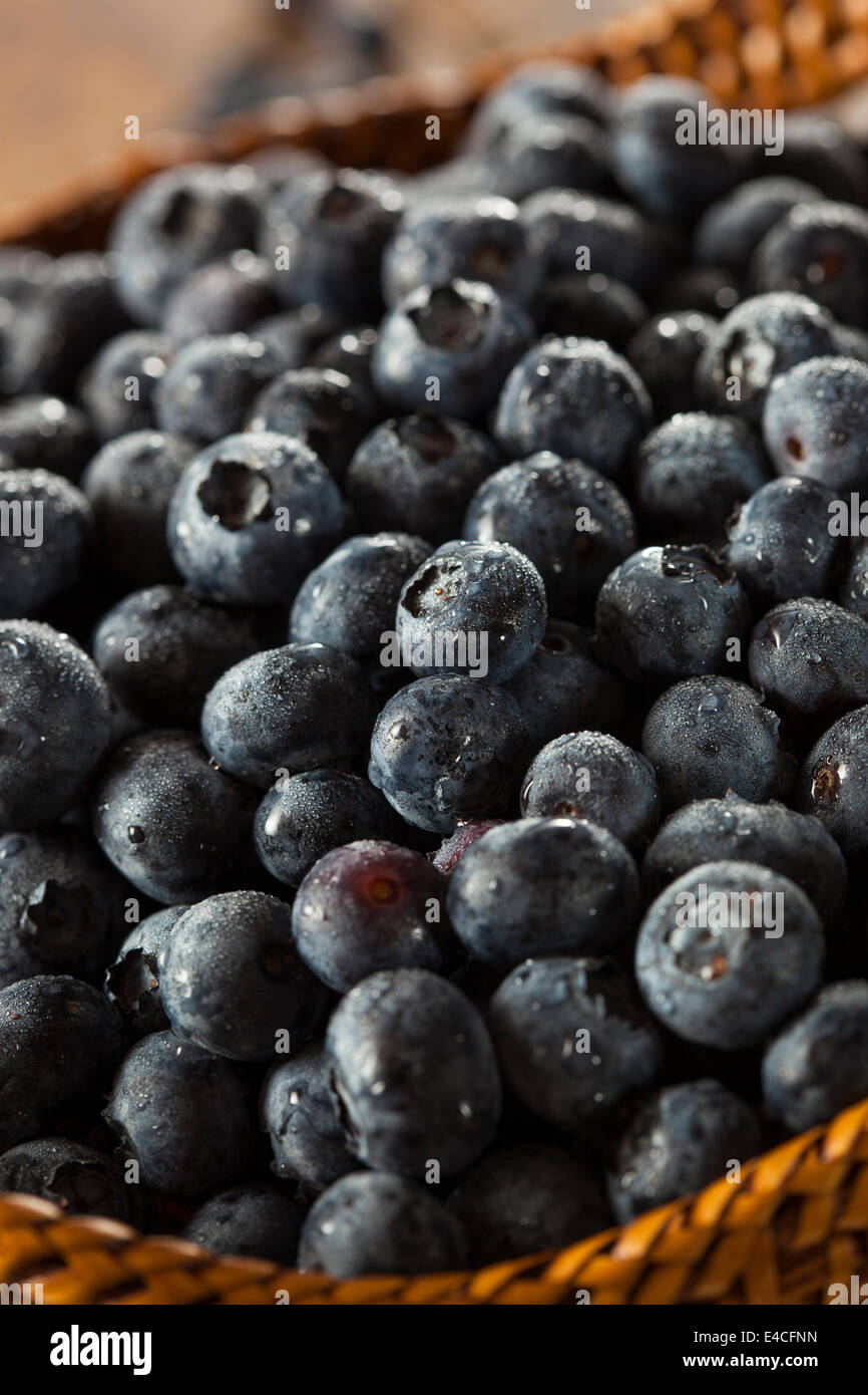 Fresh Organic Raw Blueberries in a Basket Stock Photo