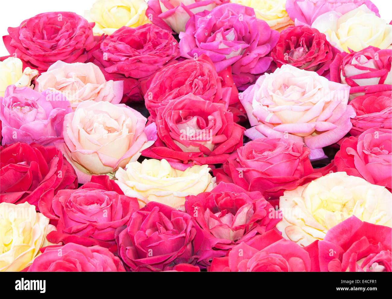 Background represent lot hi-res stock photography and images - Alamy