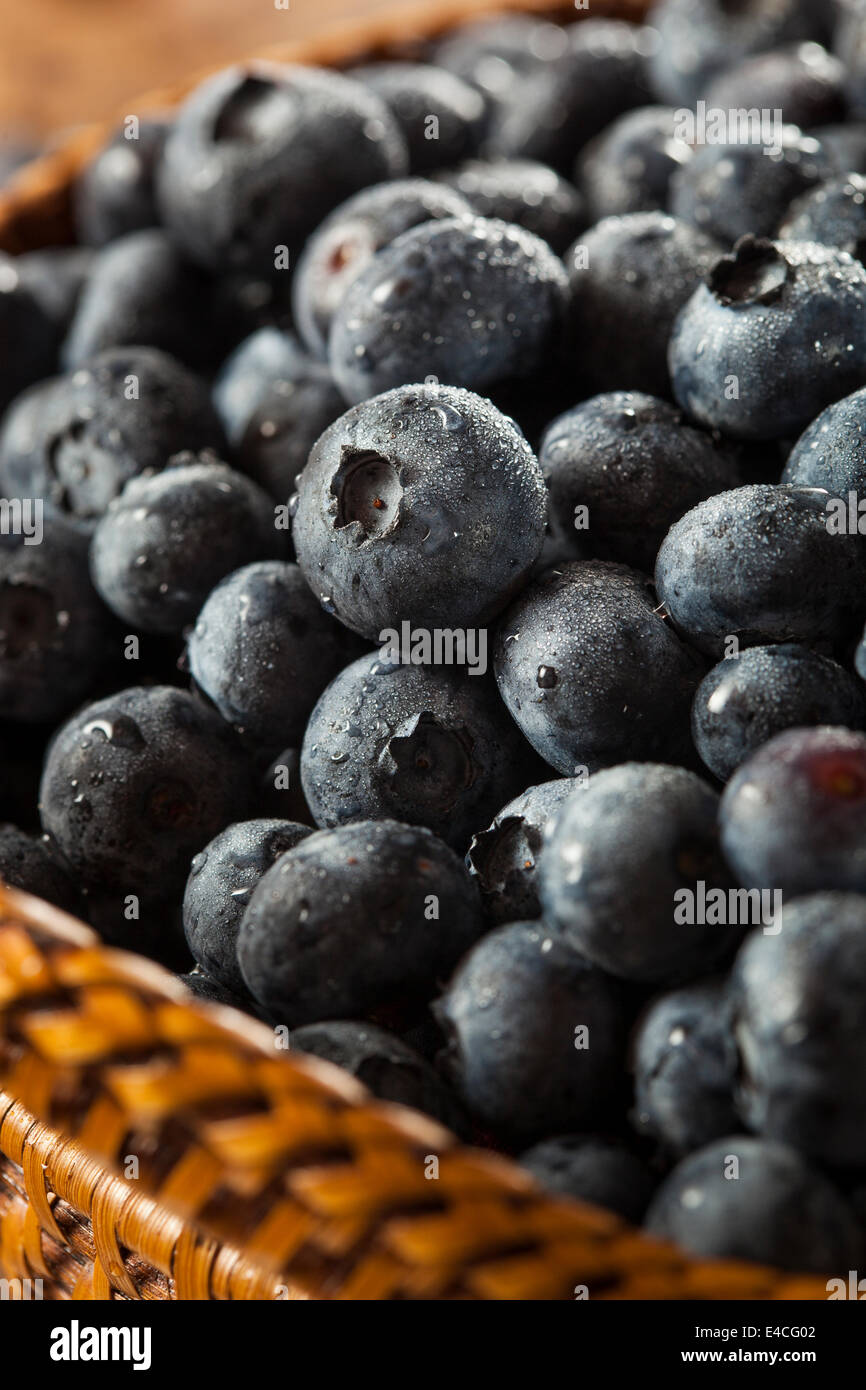 Fresh Organic Raw Blueberries in a Basket Stock Photo