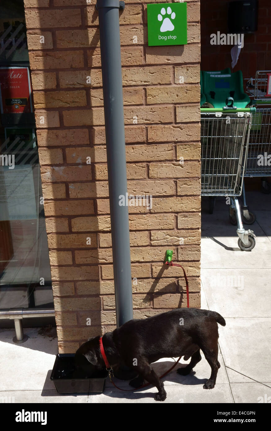 "Dog stop" for leaving pets outside a supermarket in Somerset, England