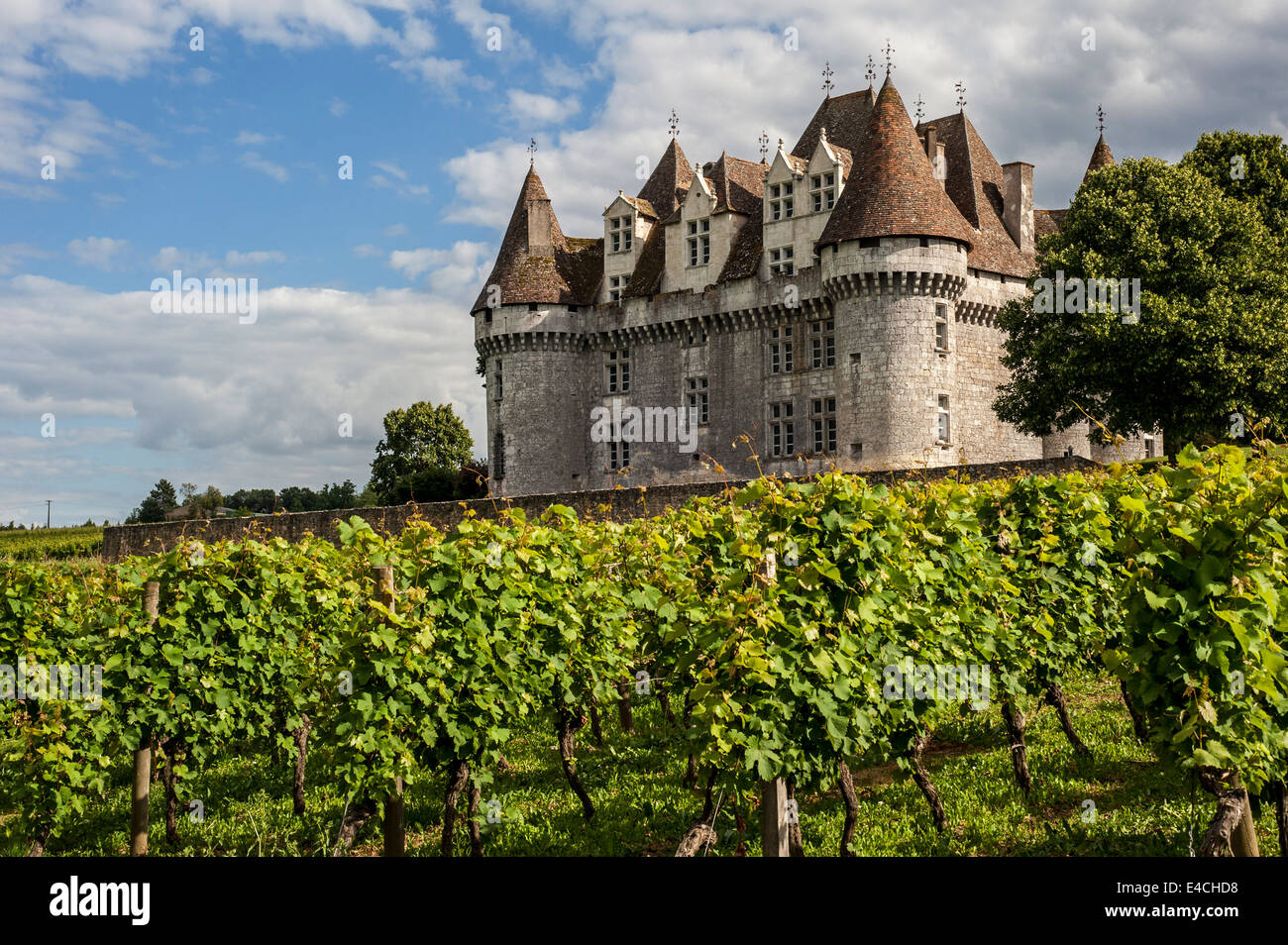 The castle Château de Monbazillac and vineyard, Dordogne, Aquitaine, France Stock Photo