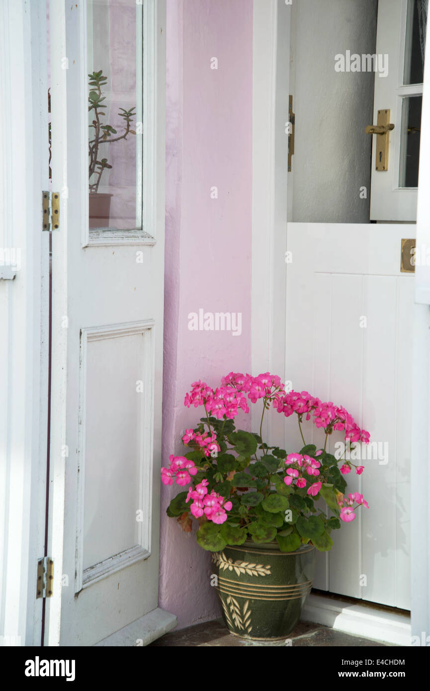 Cornwall. Roseland Peninsular. St Mawes . House porch with pink geranium Stock Photo
