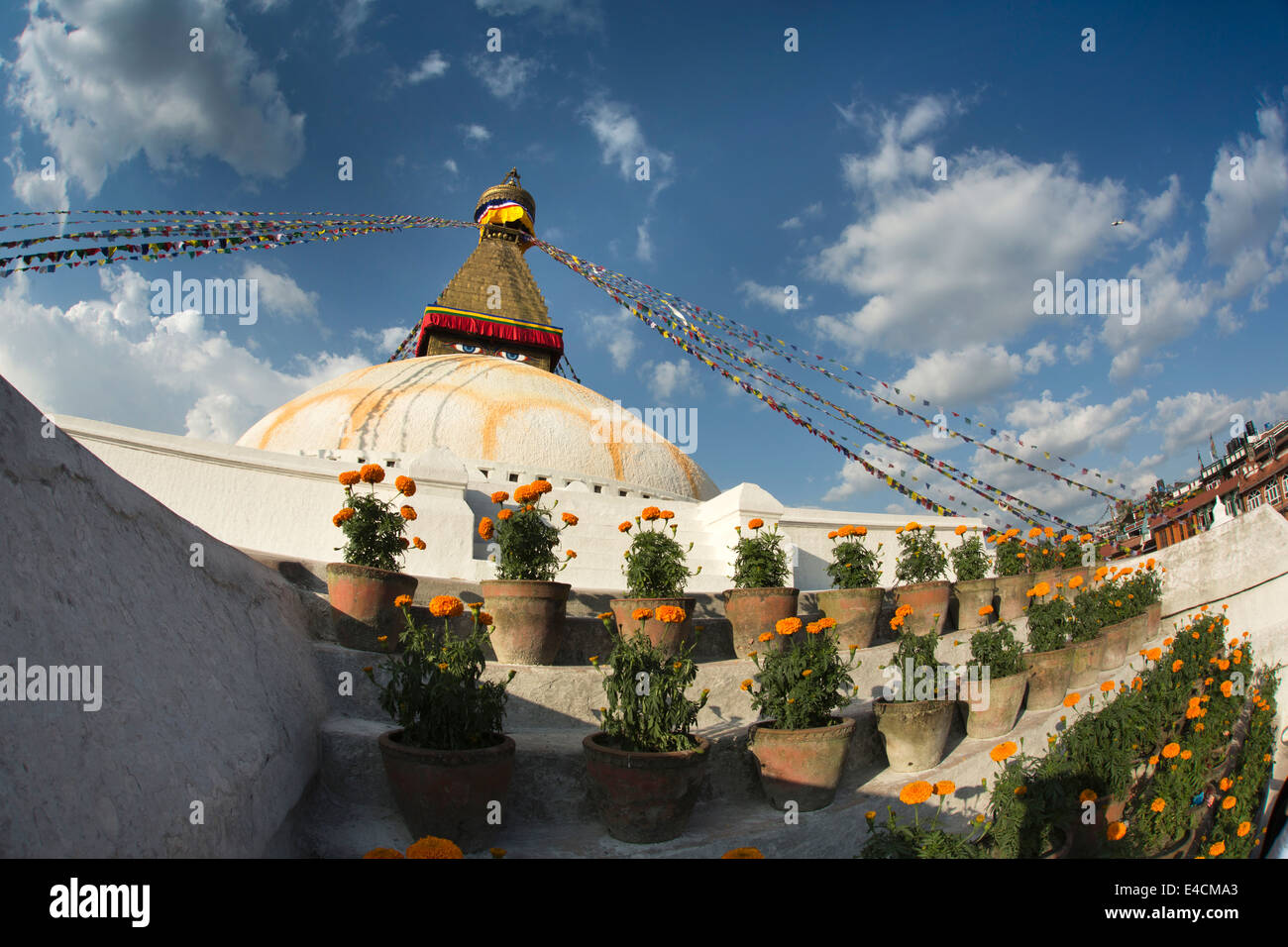 Nepal, Kathmandu, Boudhanath, stupa, pots of marigold flowers on the