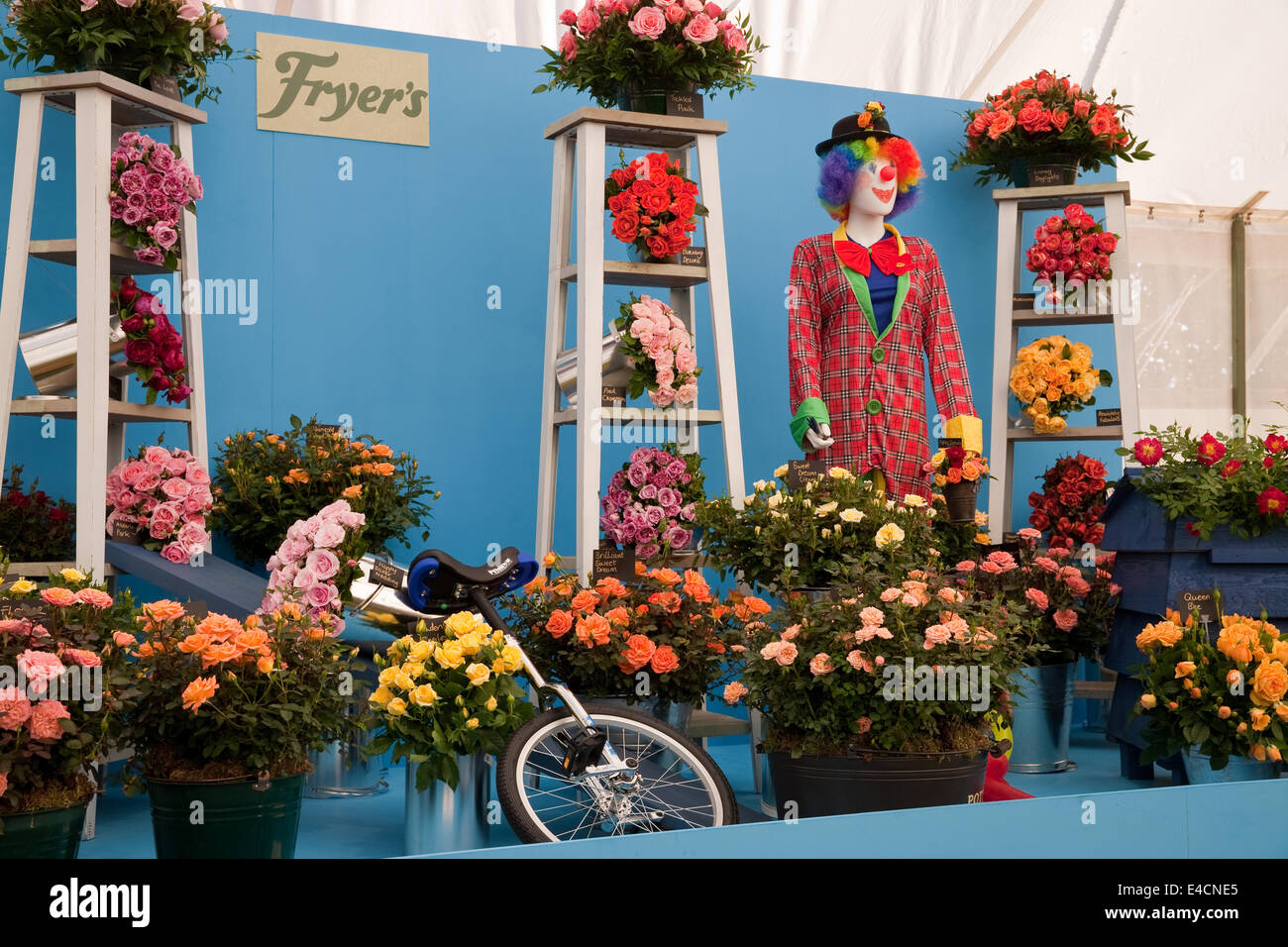 Hampton Court,8th July 2014, Fryers display at RHS Hampton Court Palace ...