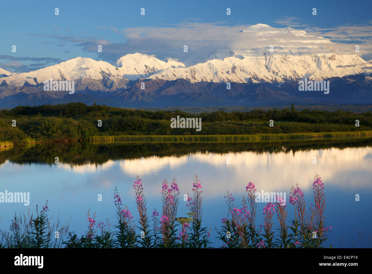 Mt. McKinley, locally known as Denali, Denali National Park, Alaska
