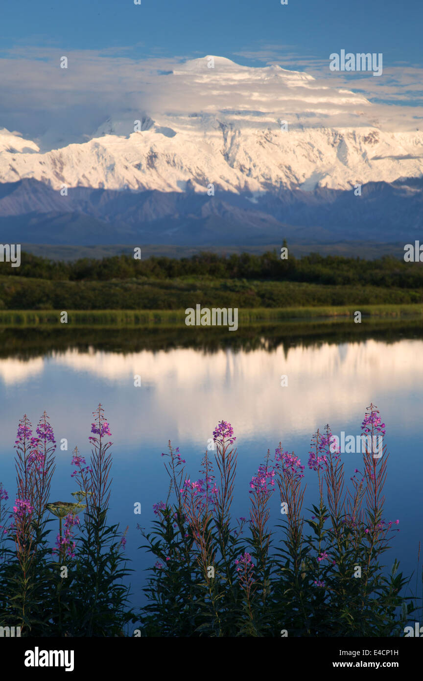 Mt. McKinley, locally known as Denali, Denali National Park, Alaska. Stock Photo