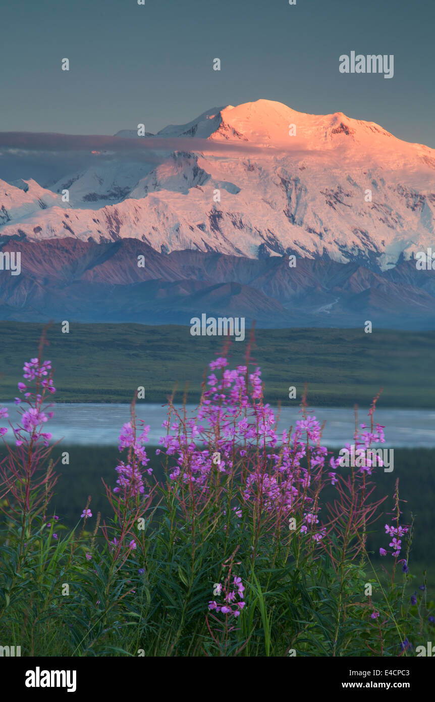 Mt McKinley also known as Denali, Denali National Park, Alaska Stock