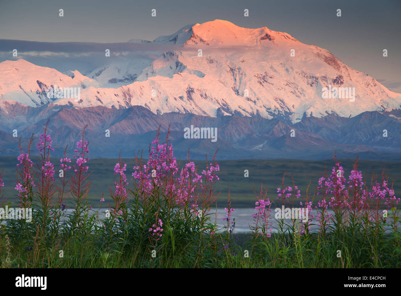 Mt McKinley also known as Denali, Denali National Park, Alaska Stock