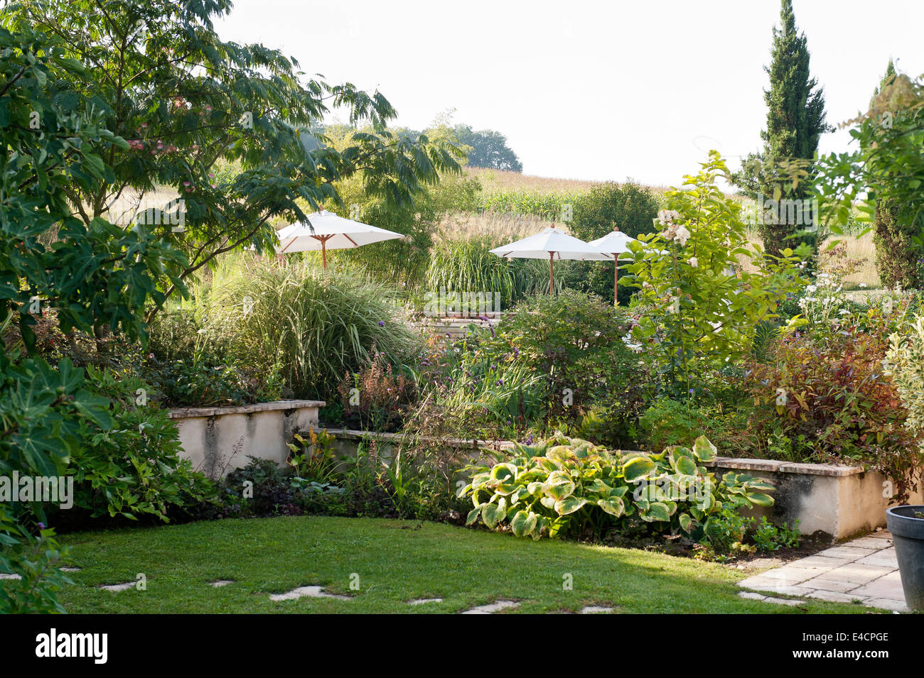 Rural french garden with lawn and parasols and corn field beyond Stock Photo