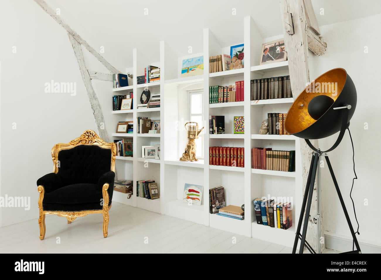 Gilt carved Louis xv armchair in white room with built-in shelving and theatrical light Stock Photo