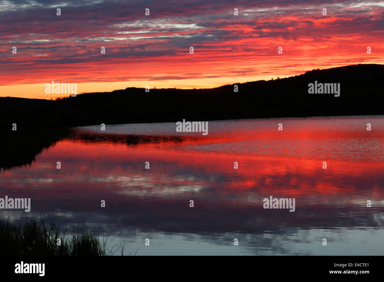 Sunset in Denali National Park, Alaska.  Stock Photo