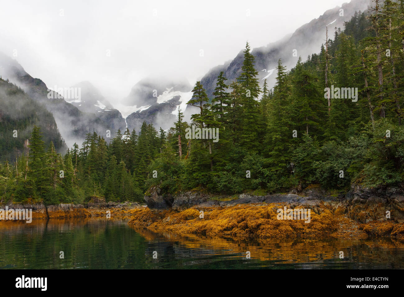 Knight Island, Prince William Sound, Chugach National Forest, Alaska. Stock Photo