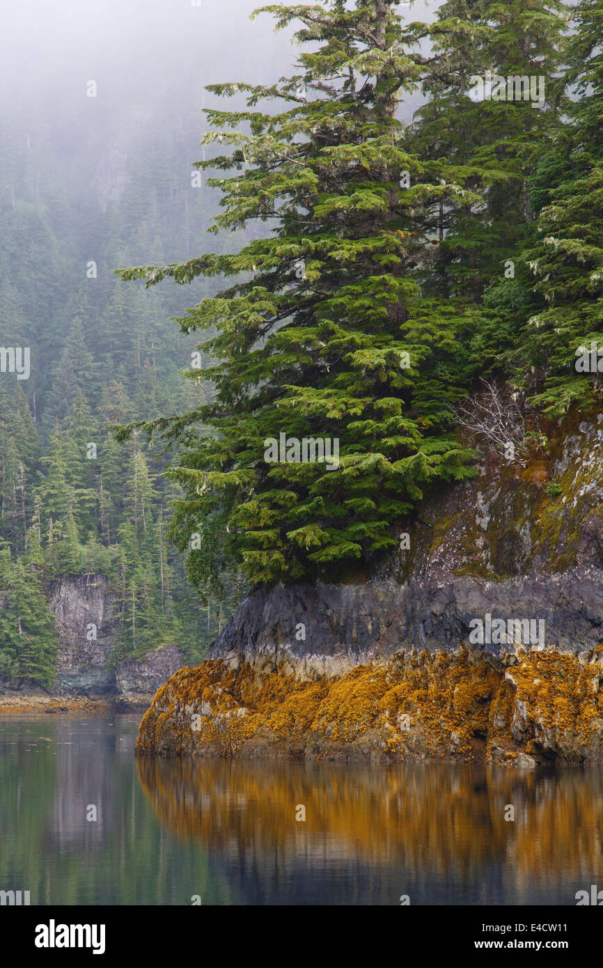Knight Island, Prince William Sound, Chugach National Forest, Alaska