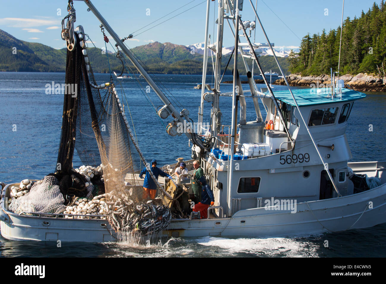 Commercial salmon fishing, Prince William Sound, Chugach National Forest, Alaska Stock Photo
