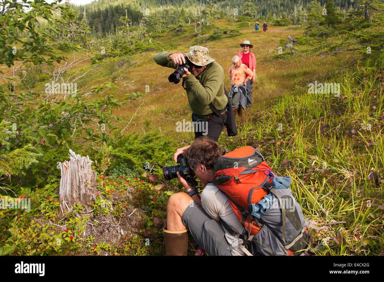 Hiking, Prince William Sound, Chugach National Forest, Alaska. Stock Photo