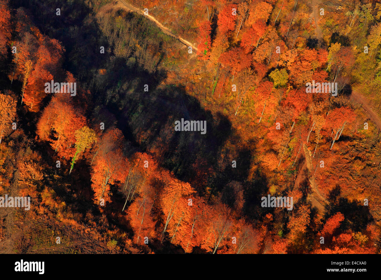 Aerial view, Autumn forest, Velebit mountain range, Croatia Stock Photo