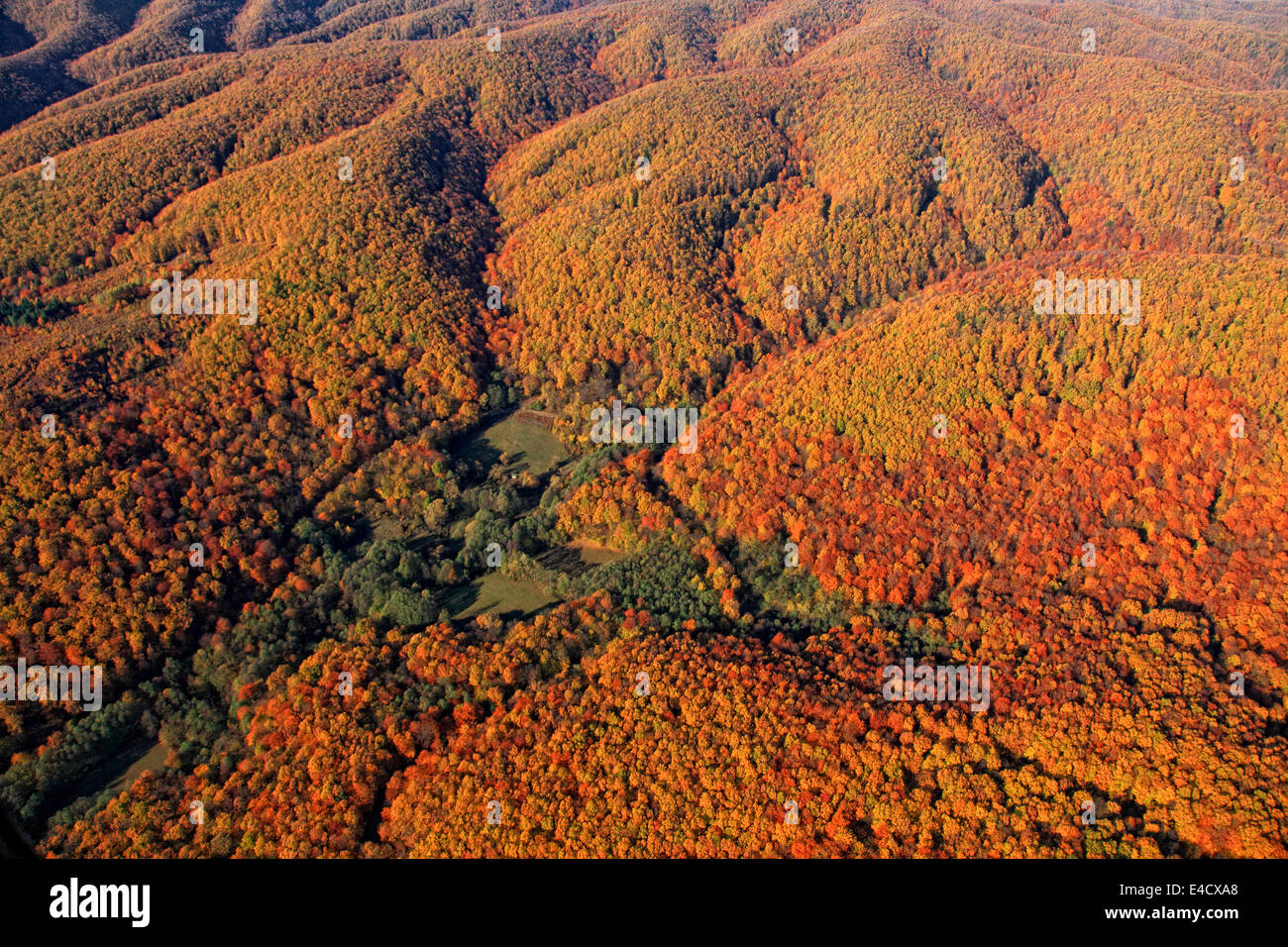 Aerial view, autumn forest, Velebit mountain range, Croatia Stock Photo