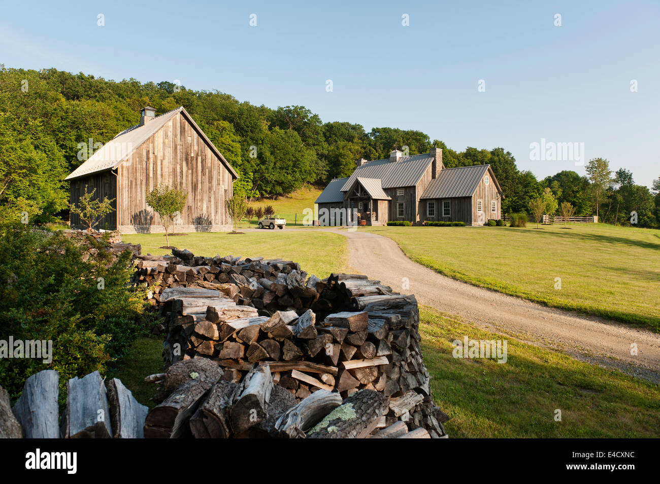 Circular stacks of firewood along driveway to timber framed clad house Stock Photo