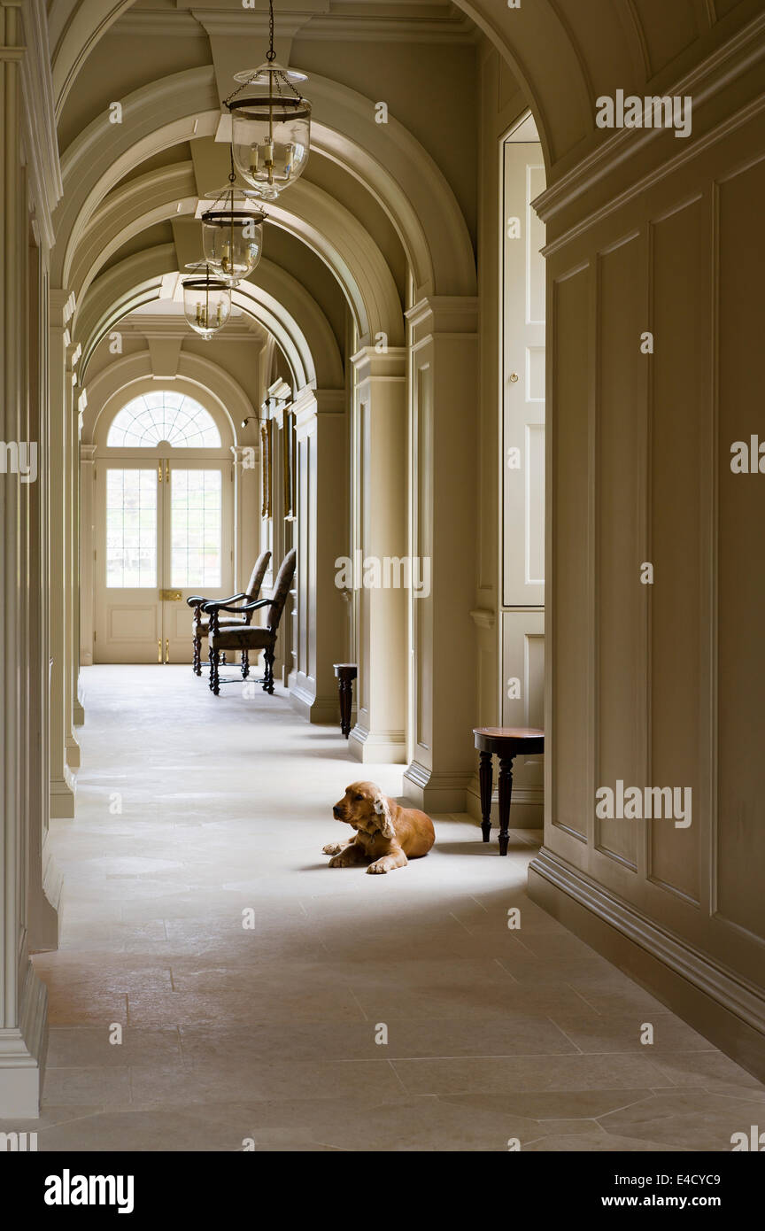A spaniel sits in an arched corridor with sandstone flagged floor Stock Photo