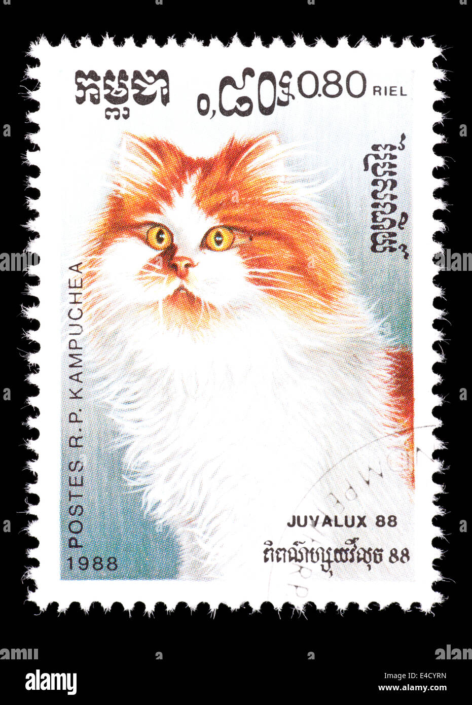 Postage stamp from Cambodia (Kampuchea) depicting a domesticated cat. Stock Photo
