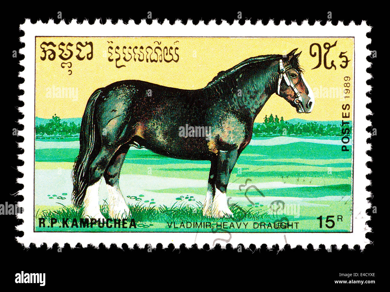Postage stamp from Cambodia (Kampuchea) depicting a Vladimir heavy draft horse. Stock Photo