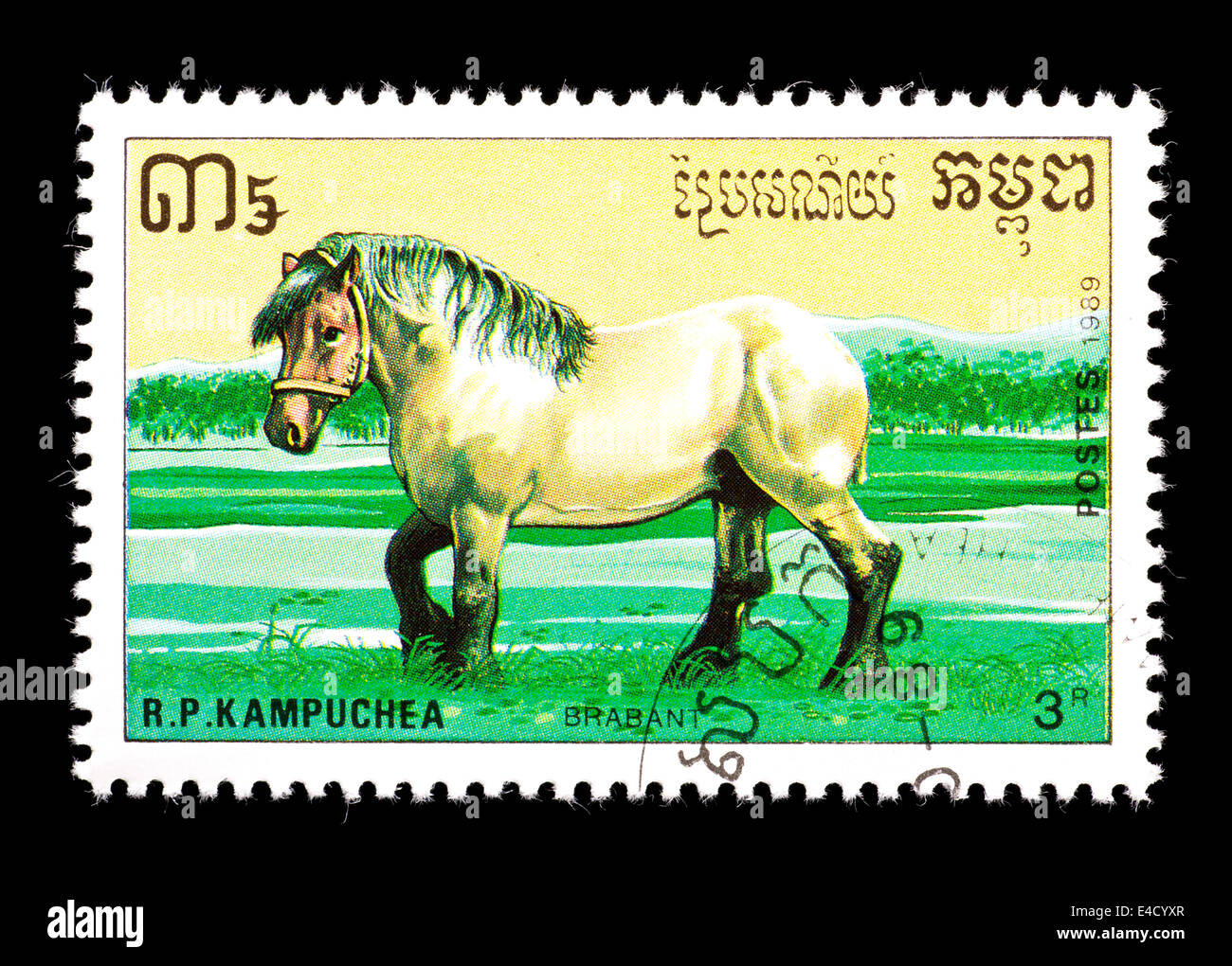 Postage stamp from Cambodia (Kampuchea) depicting a Brabant or Belgian draft horse. Stock Photo