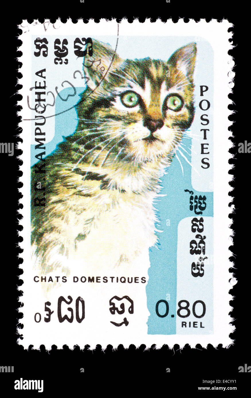 POstage stamp from Cambodia (Kampuchea) depicting a domestic cat. Stock Photo
