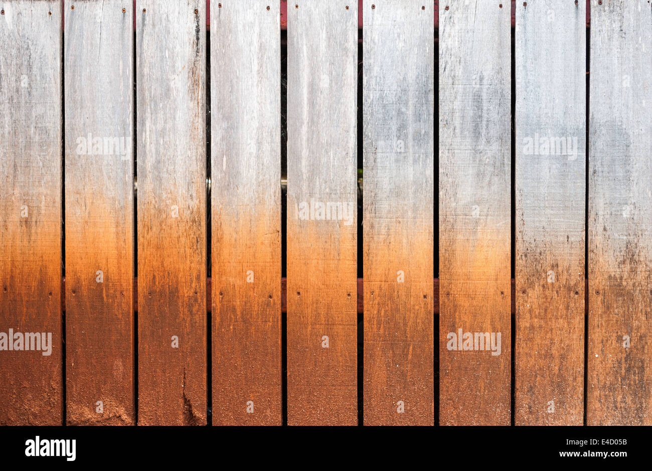 Stunning Textured Muddy Wall Decor For Apartments image