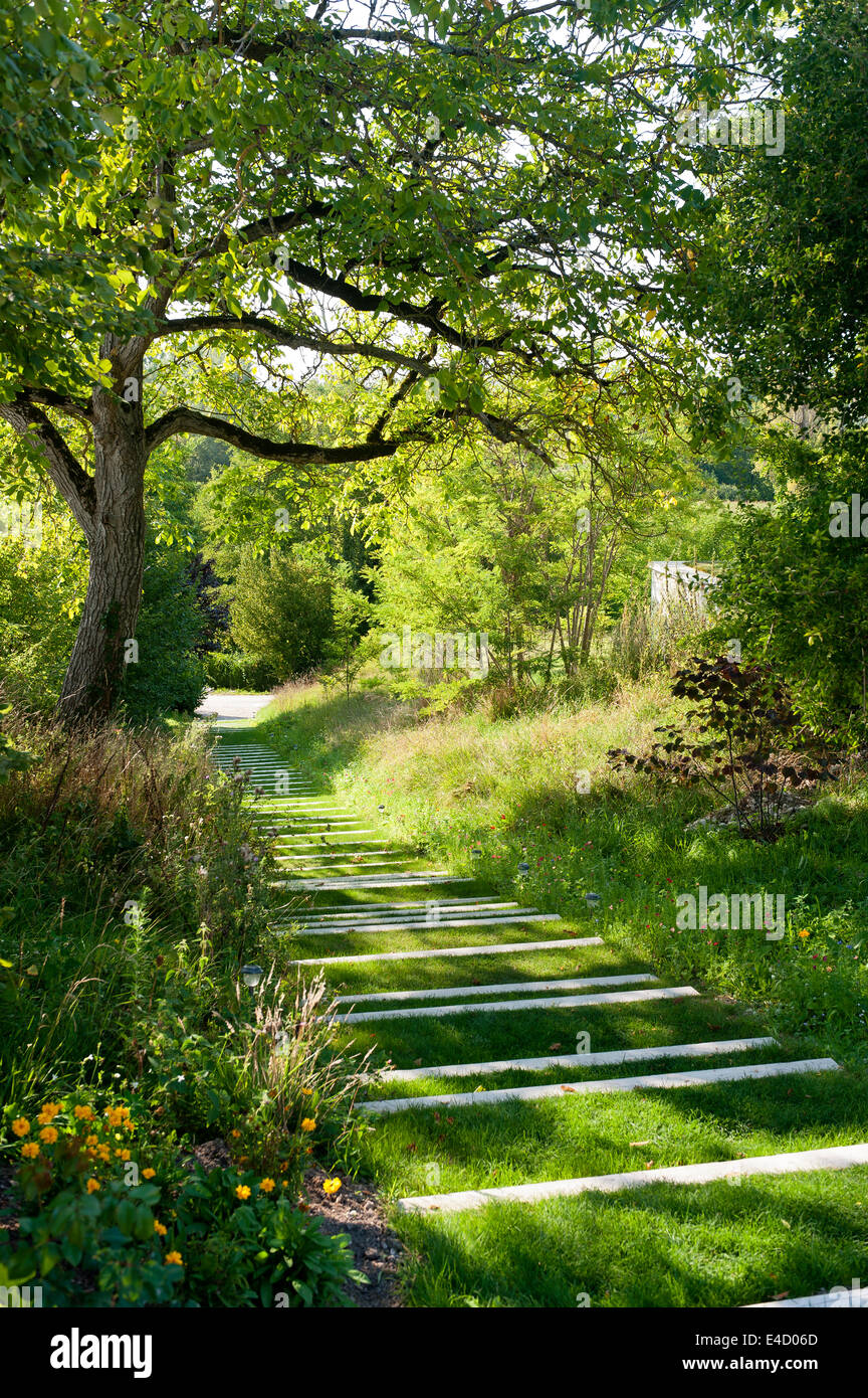 Narrow treads of white wood as part of garden path Stock Photo