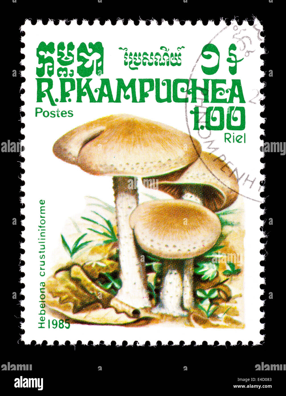 Postage stamp from Kampuchea (Cambodia) depicting poison pie or fairy cake mushrooms (Hebeloma crustuliniforme) Stock Photo