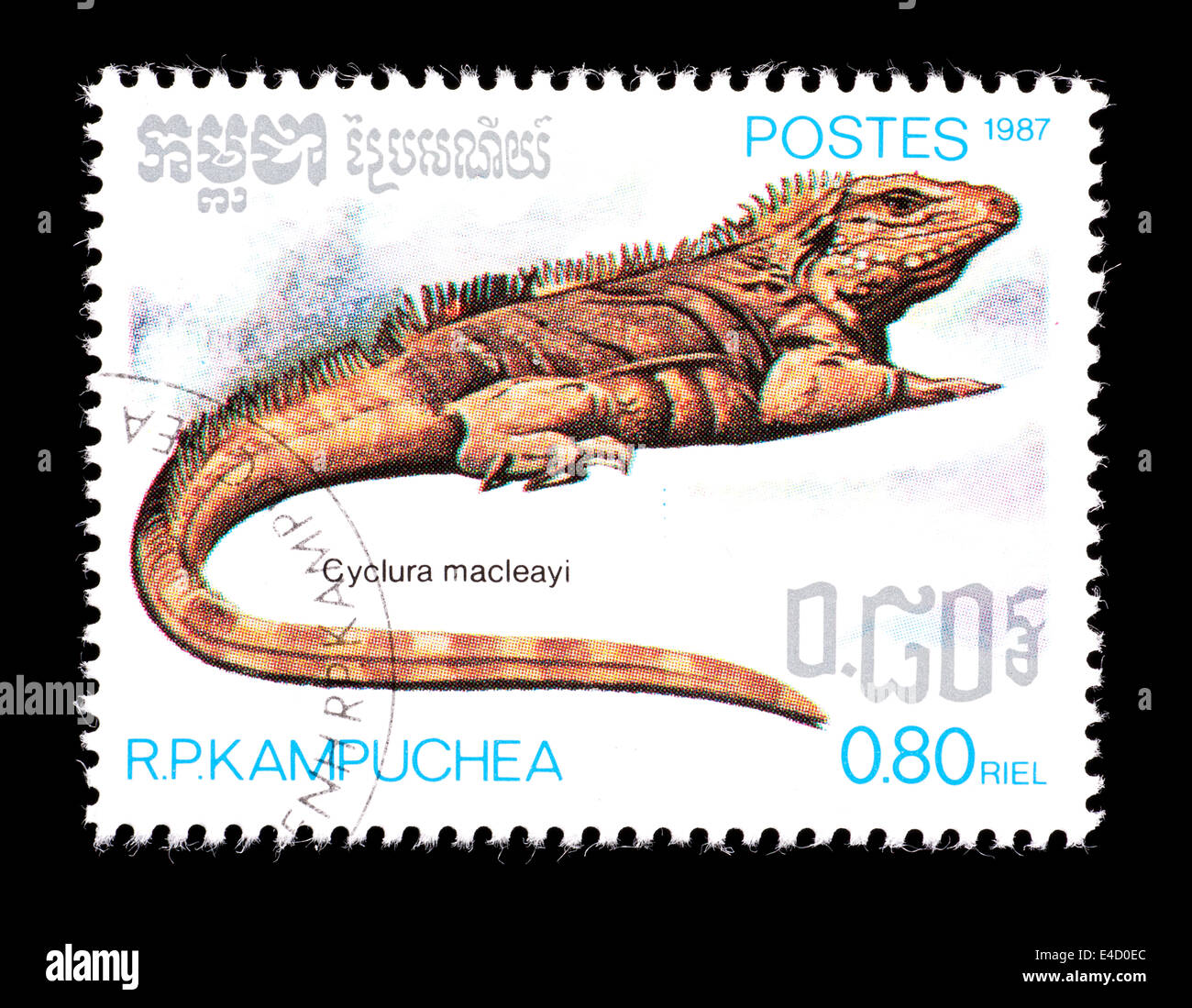 Postage stamp from Kampuchea (Cambodia) depicting a blue or Grand Cayman iguana (Cyclura nubila) Stock Photo