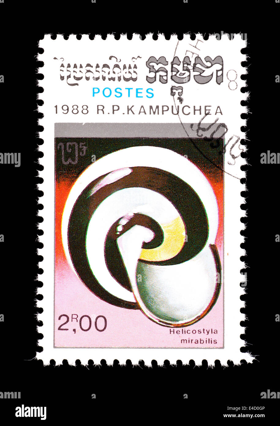 Postage stamp from Cambodia (Kampuchea) depicting a small land snail shell  (Helicostyla mirabillis) Stock Photo