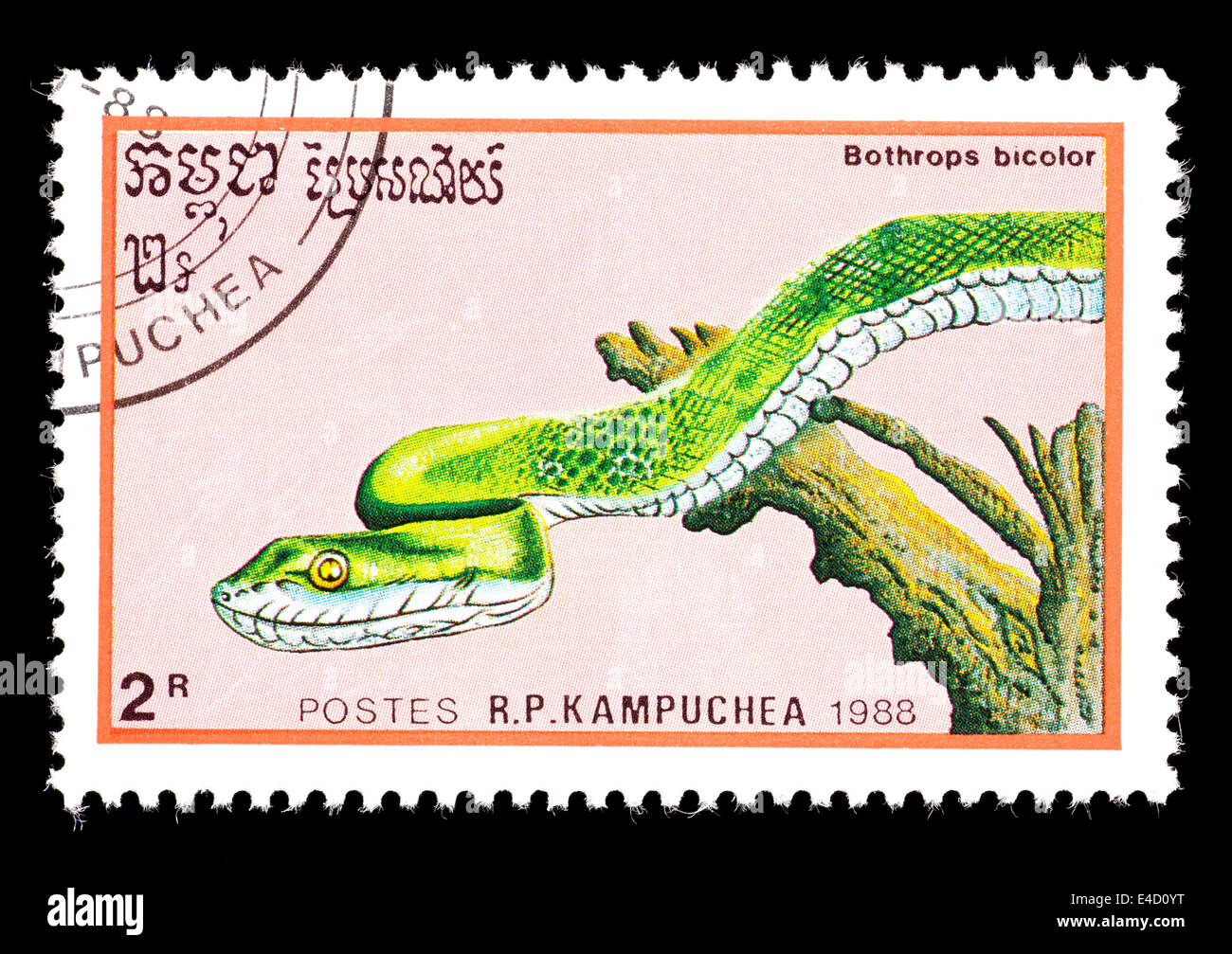 Postage stamp from Cambodia (Kampuchea) depicting a Guatemala Palm Pit Viper (Bothrops bicolor) Stock Photo