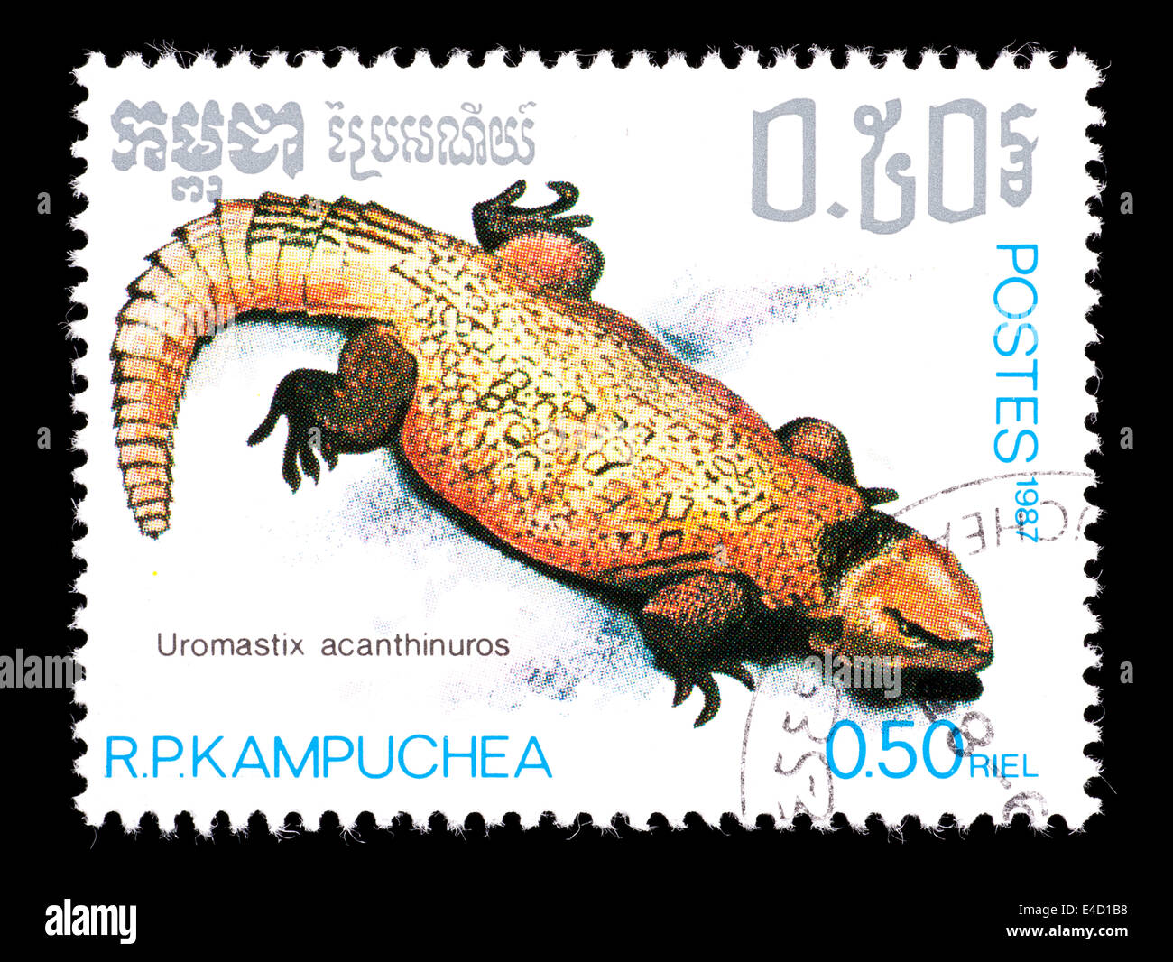 Postage stamp from Cambodia (Kampuchea) depicting a Algerian Leopard Uromastyx ( Uromastyx acanthinurus) Stock Photo