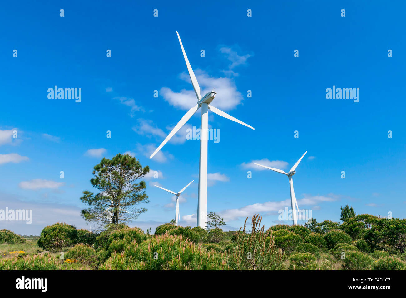 Wind turbines, Western Algarve, Portugal, Europe Stock Photo