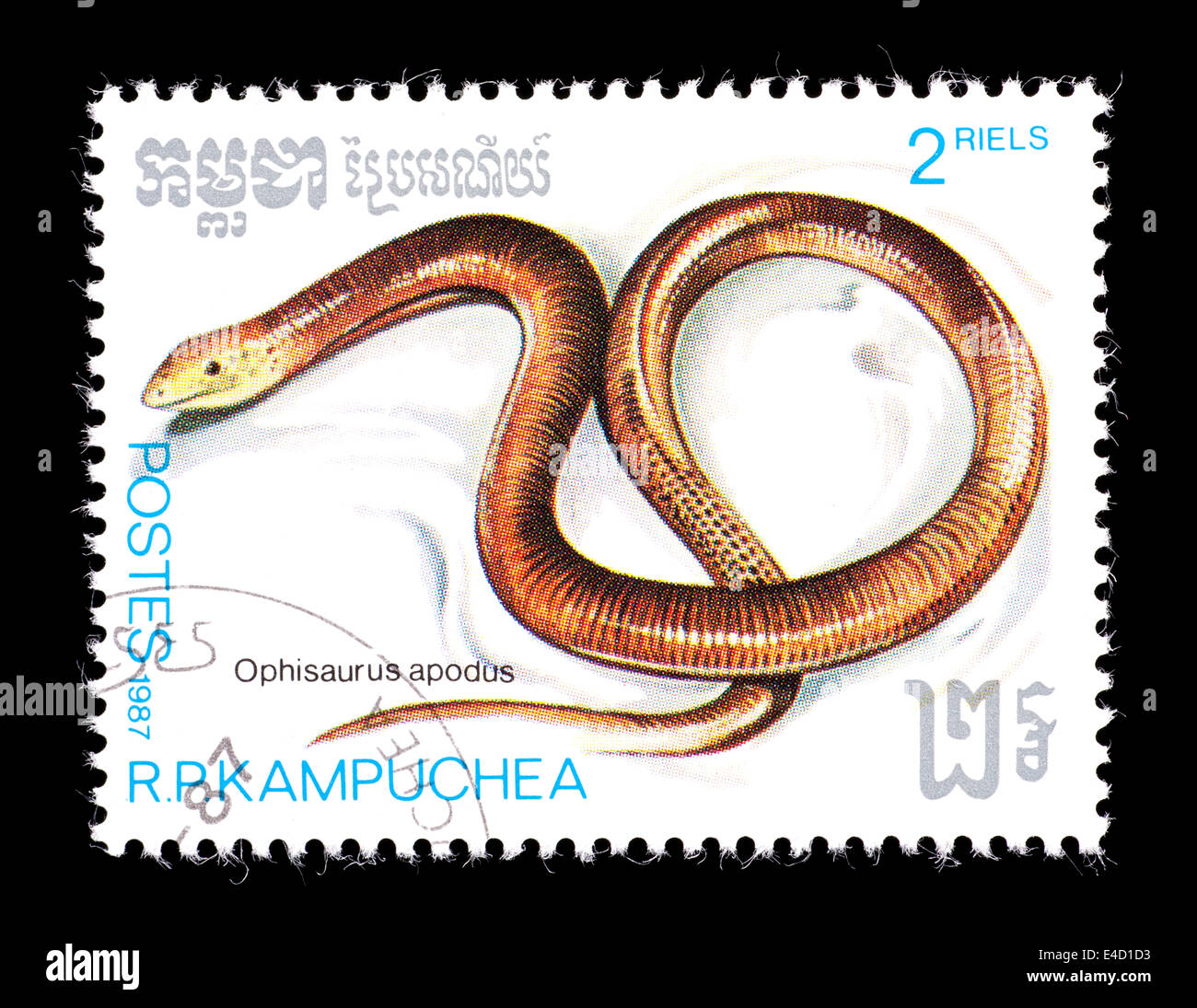 Postage stamp from Cambodia (Kampuchea) depicting a sheltopusik (Ophisaurus apodus) Stock Photo