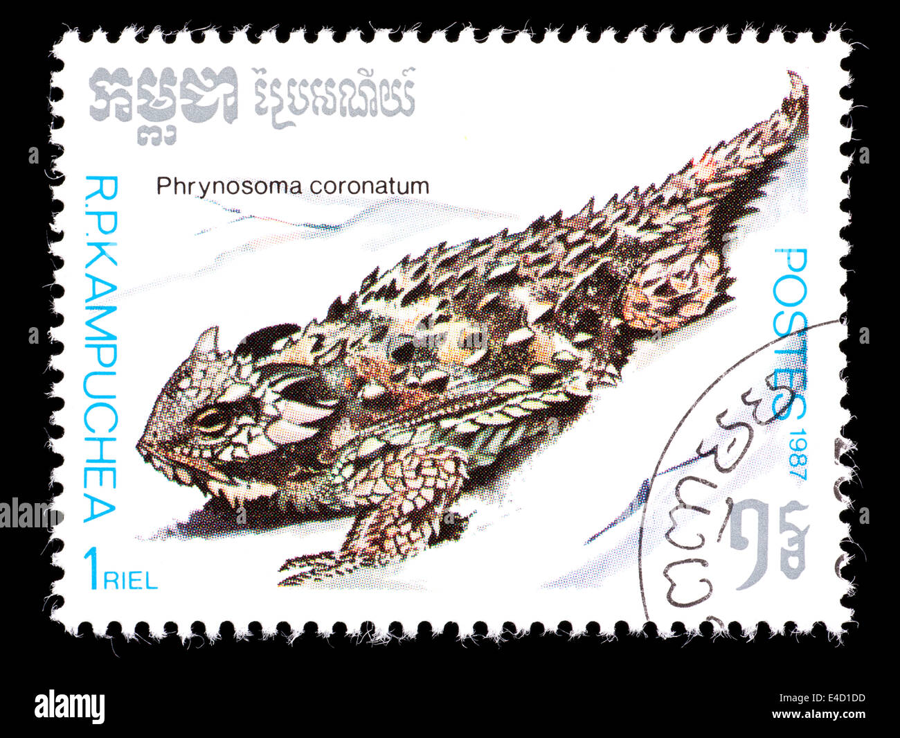 Postage stamp from Cambodia (Kampuchea) depicting  coast horned lizard (Phrynosoma coronatum) Stock Photo