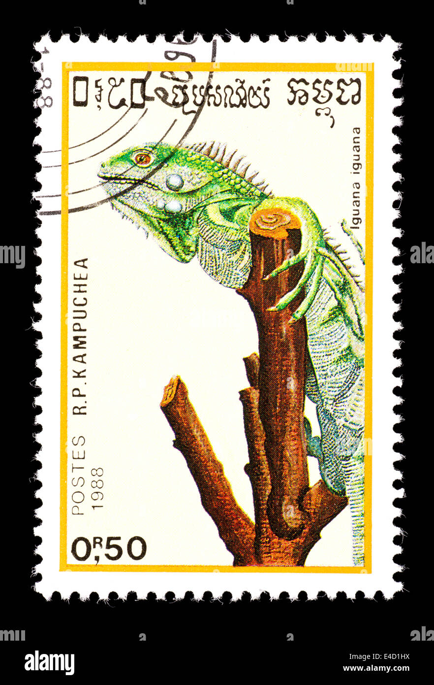 Postage stamp from Cambodia (Kampuchea) depicting a green iguana (Iguana iguana). Stock Photo