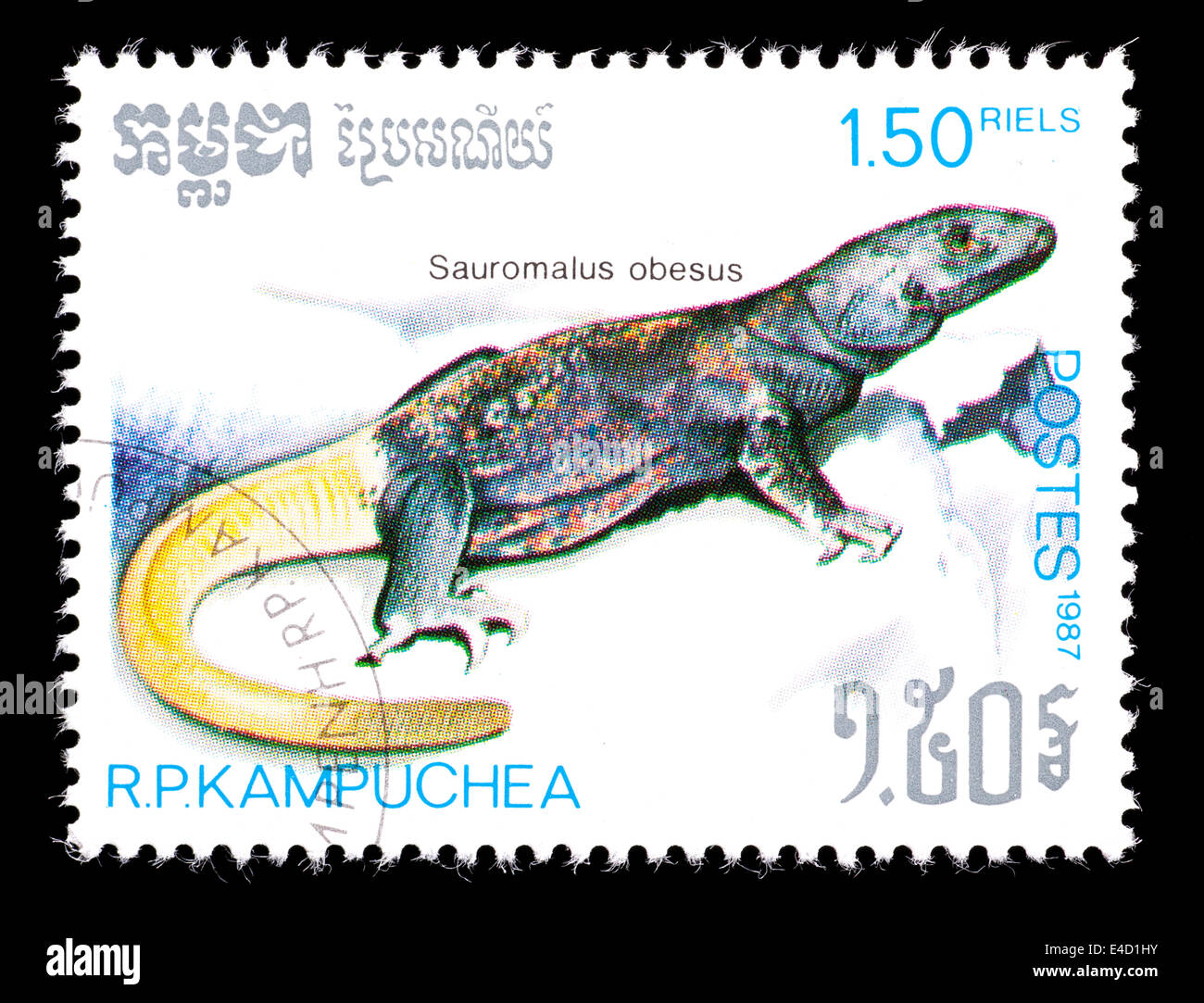 Postage stamp from Cambodia (Kampuchea) depicting a chuckwalla (Saurolaus obesus) Stock Photo