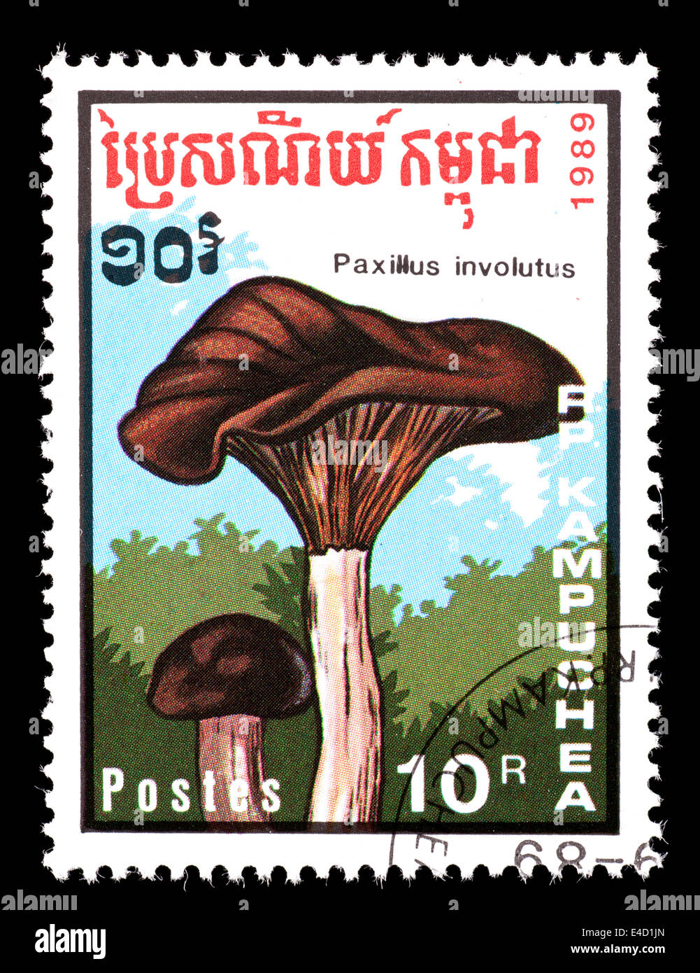 Postage stamp from Cambodia (Kampuchea) depicting brown roll-rim or poison pax mushrooms (Paxillus involutus) Stock Photo