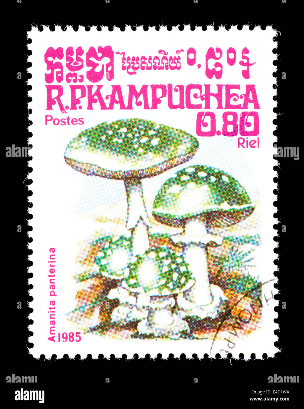 Postage stamp from Cambodia (Kampuchea) depicting panther cap or false blusher mushrooms (Amanita pantherina) Stock Photo