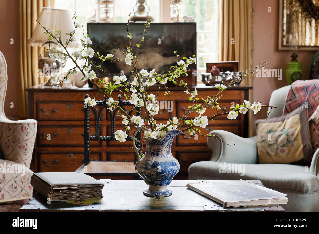 Sprig of blossom in old porcelain jug. A stuffed otter is in a glass case in the background Stock Photo