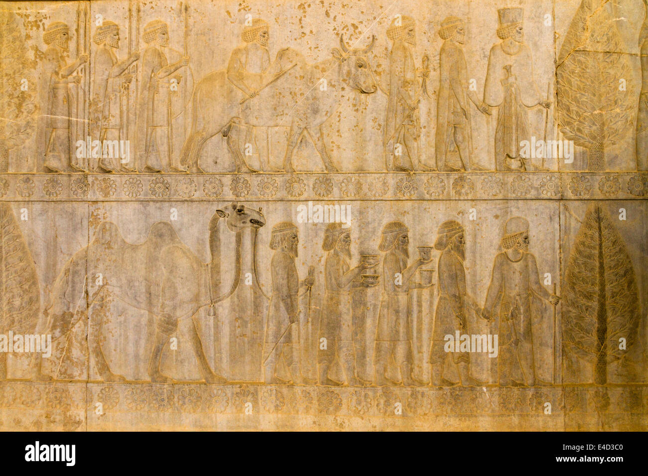 Relief of the Apadana, Persepolis, Fars, Iran Stock Photo