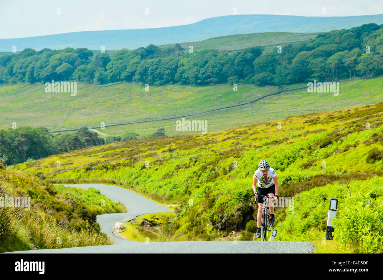 Female cyclist climbing the west side of  the Trough of Bowland in the Forest of Bowland Lancashire Stock Photo