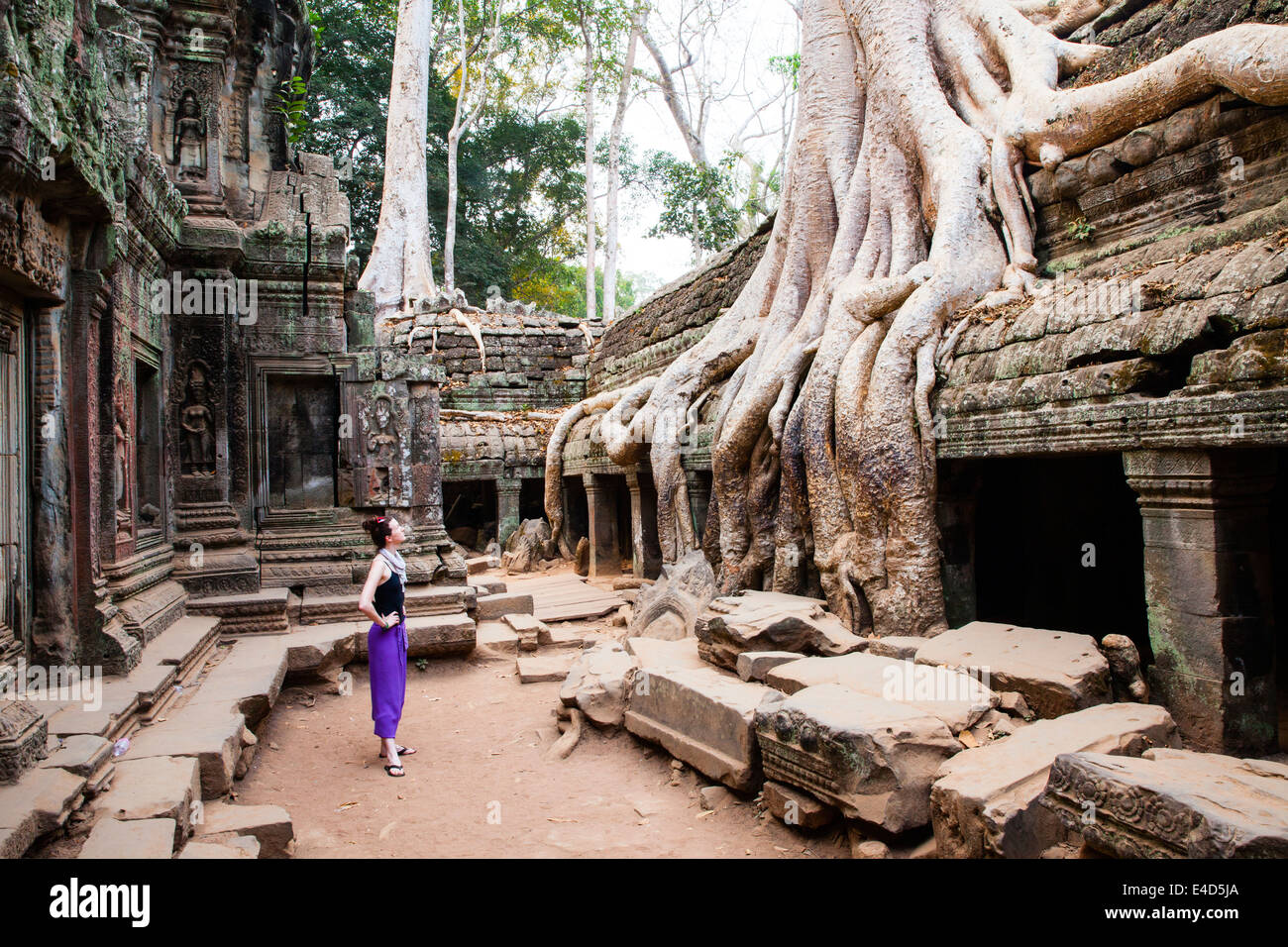 Woman holidaymaker looks at tree roots, Ta Phrom / Tha Phrom, Angkor temple complex, Angkor Wat, Siem Reap, Cambodia. Stock Photo