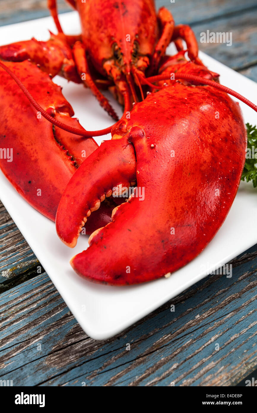 Freshly cooked lobster on a platter. Stock Photo