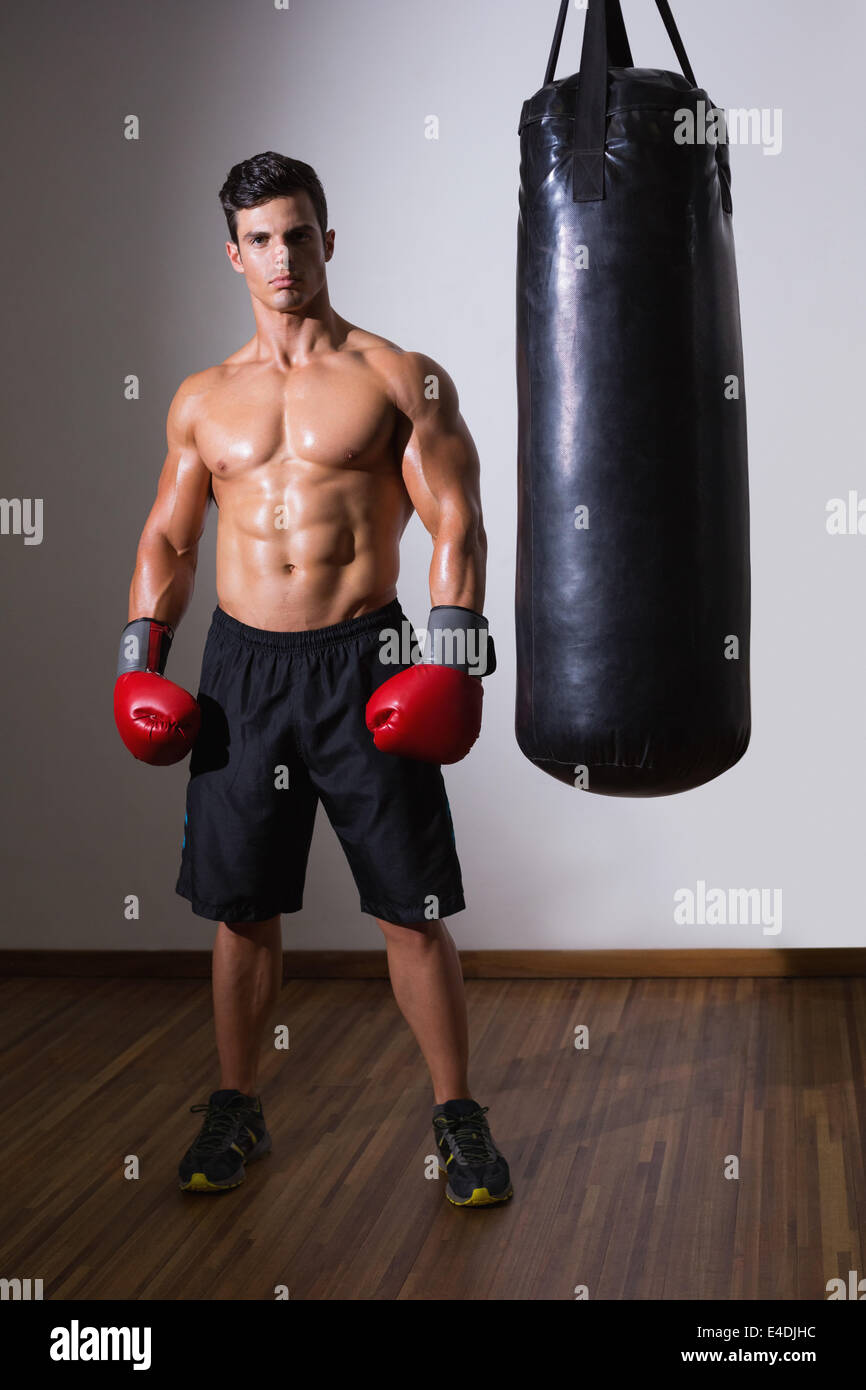 Shirtless muscular boxer with punching bag in gym Stock Photo Alamy