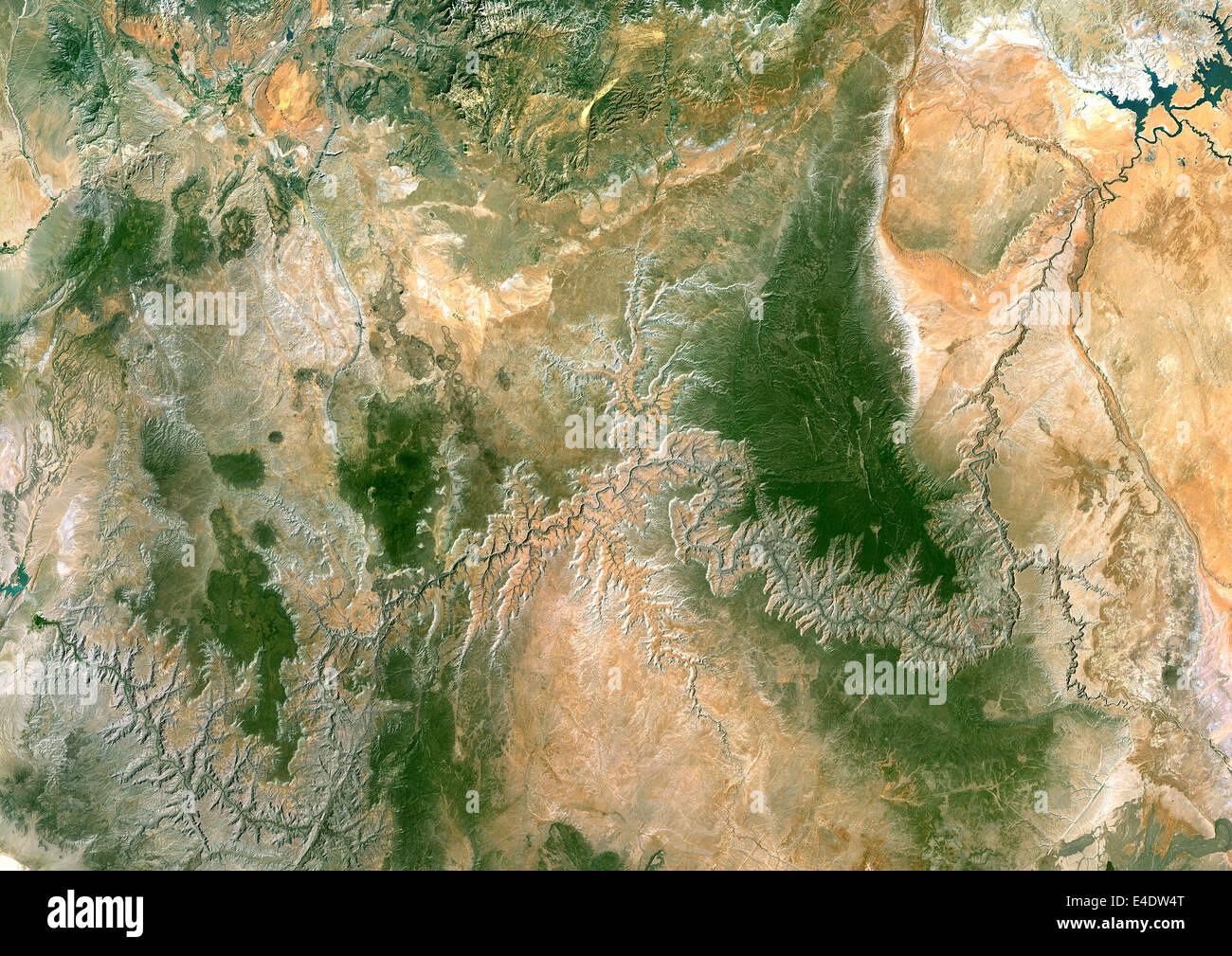 Glen Canyon Of Colorado And Lake Powell, Utah & Arizona, Usa, True Colour Satellite Image. Satellite image of the Glen Canyon, c Stock Photo